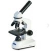 Microscopio Velab Kids (escolar básico) VE-J1