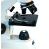 Microscopio Velab Kids (escolar básico) VE-J1 - Imagen 2