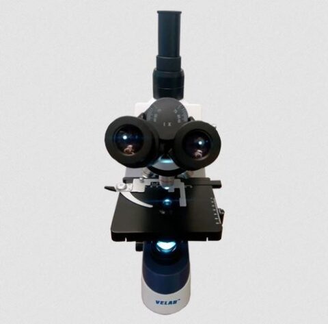Microscopio Triocular biológico. Modelo VE-T2 - Imagen 2