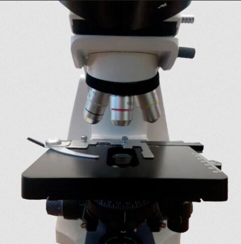 Microscopio Triocular biológico. Modelo VE-T2 - Imagen 3