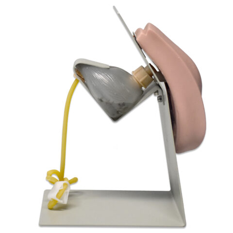 Simulador de sondaje uretral femenino - Imagen 4