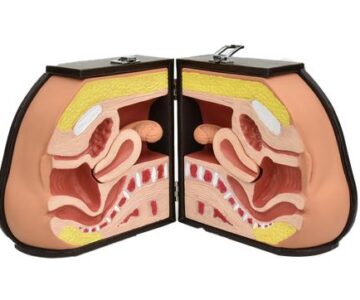 Simulador avanzado de entrenamiento para dispositivo DIU