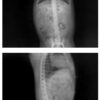SISTEMA DE RADIOGRAFÍA  PORTÁTIL DR VETERINARIO MODELO: DRX1 - Imagen 2