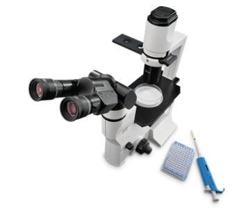 MICROSCOPIO BINOCULAR INVERTIDO PA-INF TCM 4000