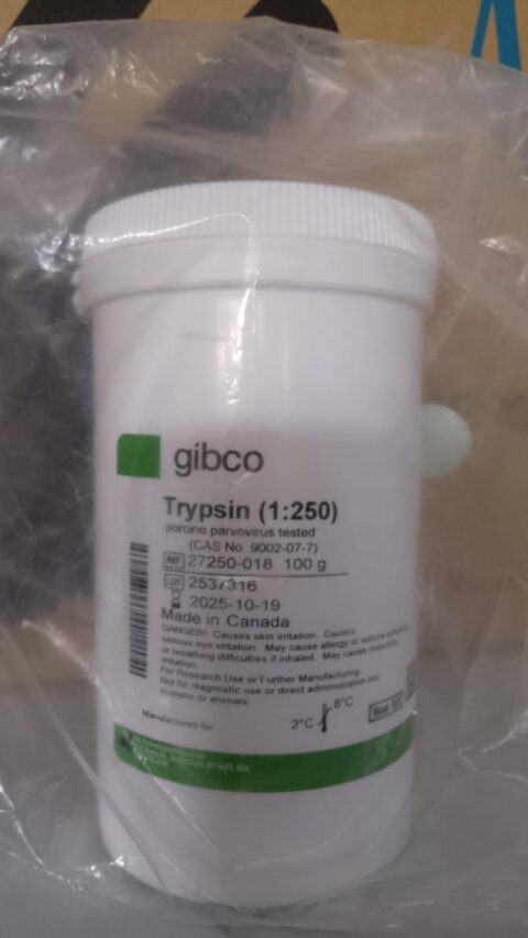 TRYPSIN (1:250) 100GR