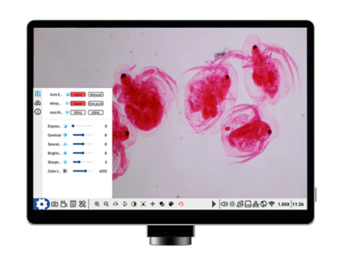 Tablet para microscopio. Modelo VE-SCOPEPAD