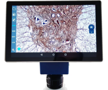 Tablet para microscopio. Modelo VE-SCOPEPAD-300