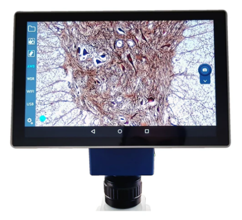 Tablet para microscopio. Modelo VE-SCOPEPAD-300