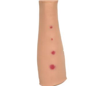 Brazo de entrenamiento para inyección intradérmica