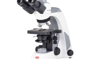 Microscopio Compuesto Trinocular