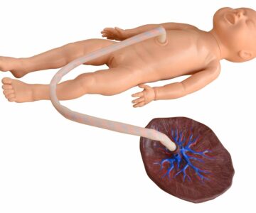 Simulador femenino de recién nacido con cordón umbilical