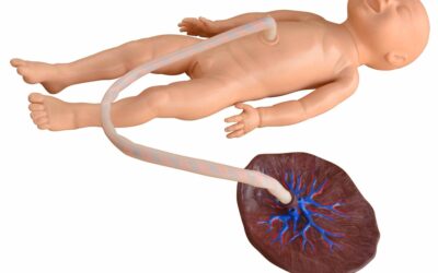 Simulador femenino de recién nacido con cordón umbilical