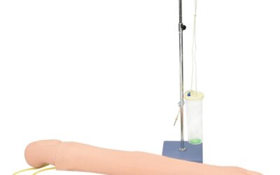 Brazo de entrenamiento para inyección intravenosa y deltoides