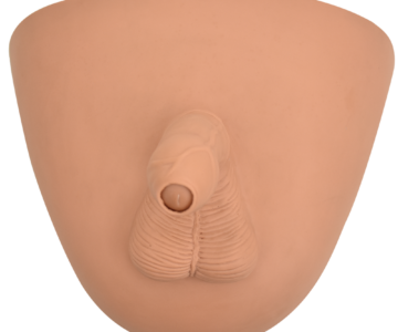 Simulador de circuncisión