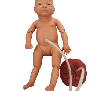 Modelo de neonato (niña) con placenta y cordón umbilical para cuidados de enfermería