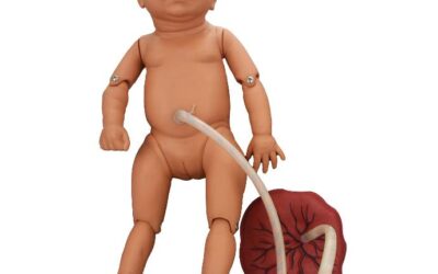 Modelo de neonato (niña) con placenta y cordón umbilical para cuidados de enfermería