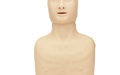 Torso para entrenamiento RCP